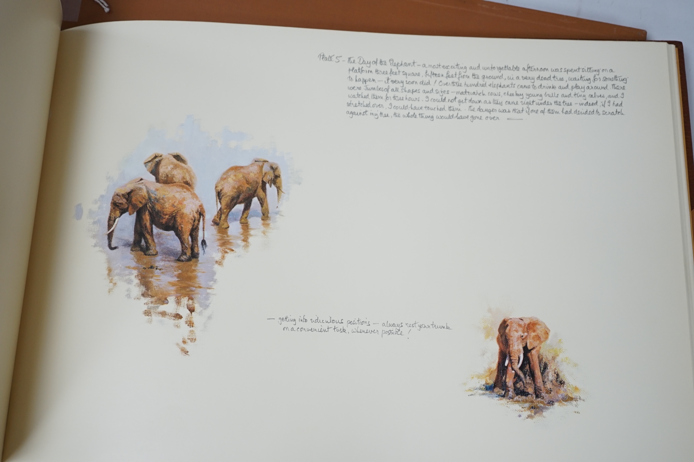 A folio of D. Shepherd signed prints of paintings of Africa and India